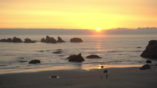 Sunset Pacific Ocean Bandon Oregon Cat Kittens Rock Formations Silhouetted — Stock Video