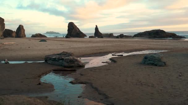 Oregon Sahili Deniz Yığınları Bandon Sahili Turistler Gün Batımında Sahilde — Stok video