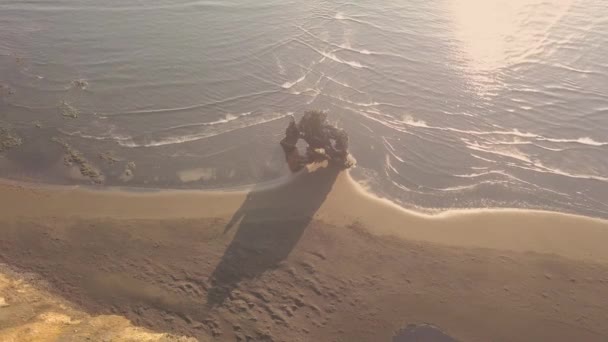Imagini Drone Rock Hvitserkur Islanda Multe Unghiuri Ale Formațiunii Speciale — Videoclip de stoc
