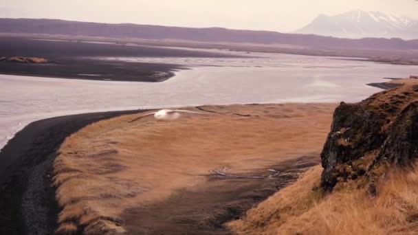 Gabbiani Uccisi Slow Motion Sulla Costa Islandese Girato Sul Sony — Video Stock