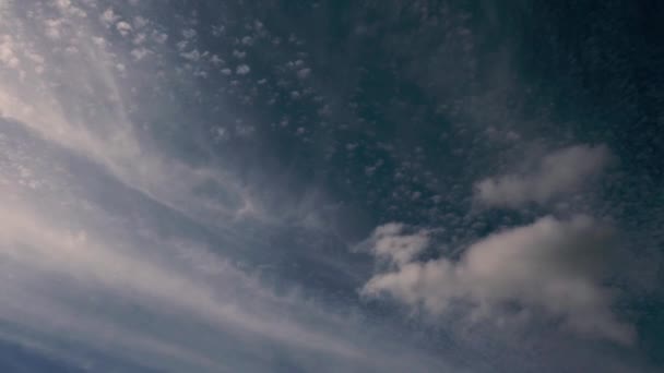 自然の多くの形や踊りを示す特別な雲の形成の様々な4Kの時間経過 ソニーA7IiiとロニンSで撮影 — ストック動画