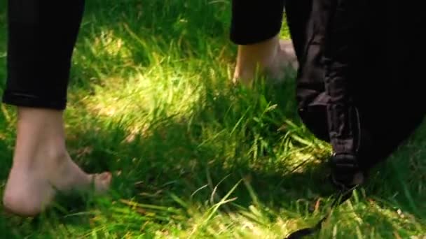 Mädchenfüße Die Zeitlupe Durch Gras Gehen Sommerliche Stimmung — Stockvideo