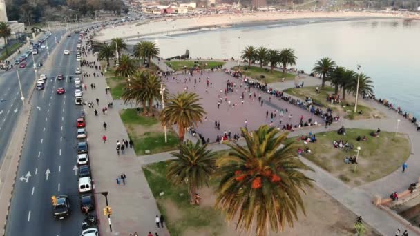 Drone Krajobrazu Nagranie Lotnicze Lodowiska Znajduje Się Montevideo Urugwaj — Wideo stockowe