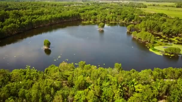 Imagens Aéreas Baixas Ascensão Das Terras Húmidas Cattana Smithfield Perto — Vídeo de Stock