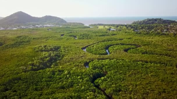 Повітряні Кадри Мангрових Лісів Крейдяного Крейсера Halfmoon Creek Yorkeys Knob — стокове відео