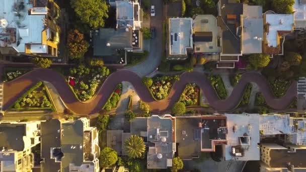 Fugle Eye View Lombard Street Aerial – Stock-video