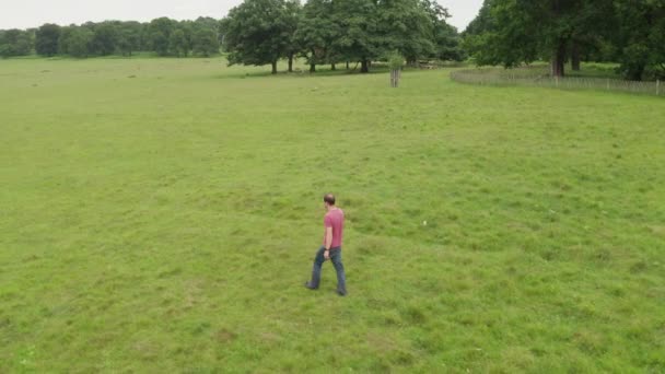 Vista Aérea Homem Caminhando Richmond Park Câmera Está Seguindo Pessoa — Vídeo de Stock