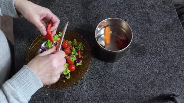 샐러드 요리하는 라포스 — 비디오
