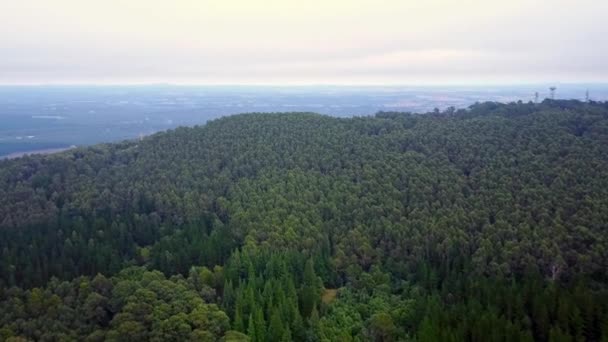 Filmagem Aérea Sobre Floresta Nativa Mount Macedon Centro Victoria Austrália — Vídeo de Stock