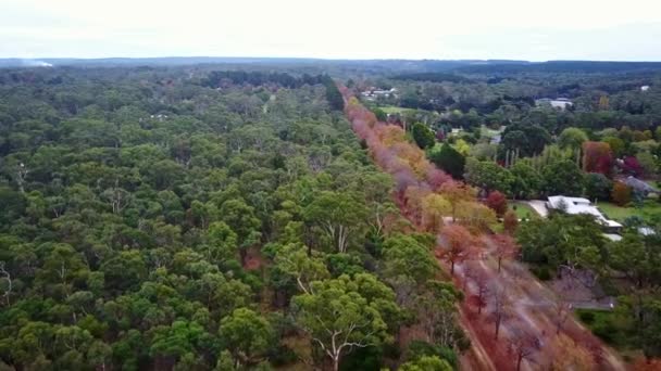 Imágenes Aéreas Sobre Avenida Honor Macedon Victoria Central Australia — Vídeo de stock