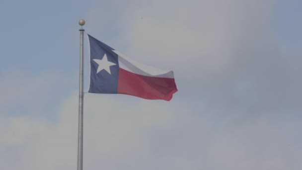 Bandeira Texas Austin Austin Texas — Vídeo de Stock