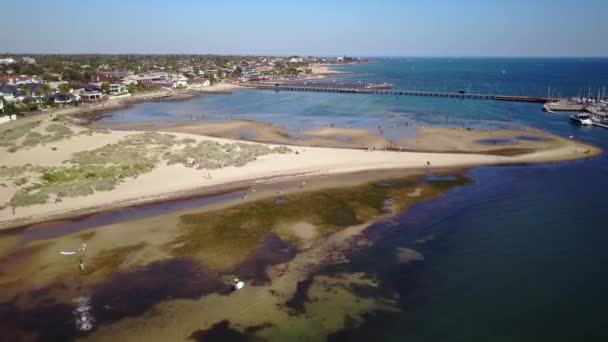 Drone Footage People Dogs Brighton Dog Beach Middle Brighton Pier — Stock Video