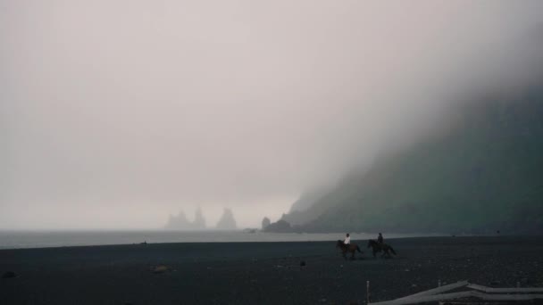 黒い砂浜 アイスランドのヴィックで霧の多い日にスローモーションで走っている馬 ソニーA7Iiiと三脚に撃たれた — ストック動画