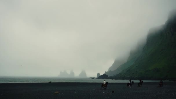 Horses Running Slowmotion Black Sand Beach Foggy Day Vik Iceland — Stock Video