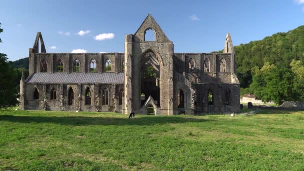 Аббатство Тинтерн Монмутшир Уэльс Руины Цистерцианского Монастыря Slow Panin — стоковое видео