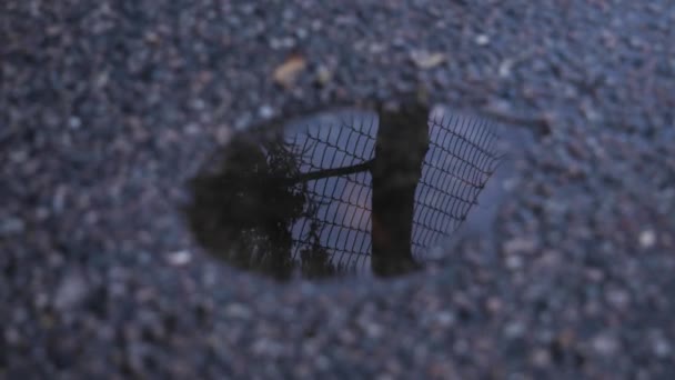 水滴滴在地上 倒映在栅栏和一棵树上 让人感觉到被囚禁 孤独或困顿的感觉 — 图库视频影像