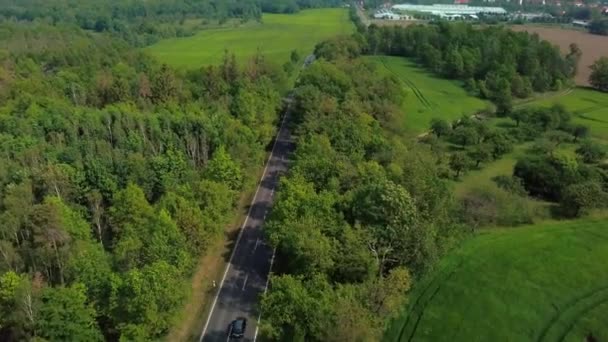Αεροφωτογραφία Των Αυτοκινήτων Που Κινούνται Δρόμο Μεταξύ Αγρών Και Δάσους — Αρχείο Βίντεο