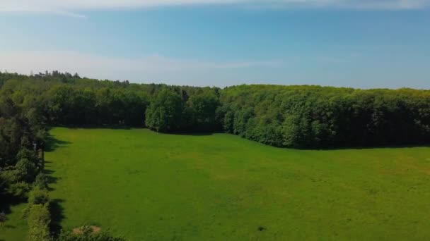 Vedere Aeriană Pajiștilor Fața Liniei Forestiere Timpul Verii — Videoclip de stoc