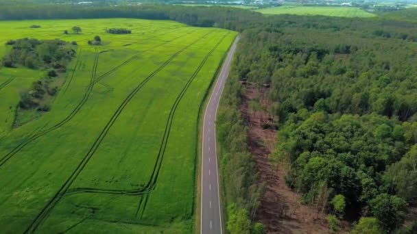 Vista Aérea Los Coches Que Conducen Una Carretera Entre Campos — Vídeos de Stock