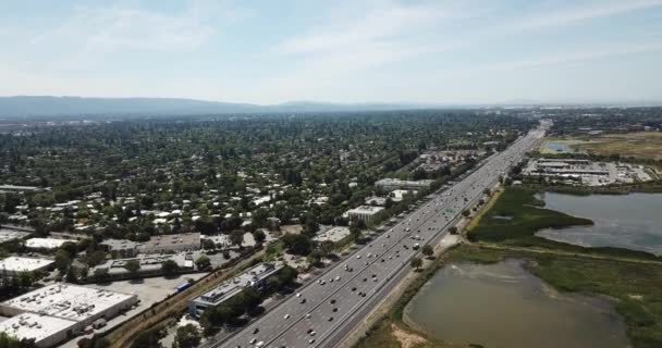 Vue Aérienne Des Banlieues Arbres Denses Maisons Sur Toit Pins — Video