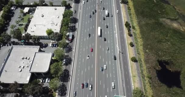 Luftaufnahme Der Vororte Dichte Bäume Dächer Häuser Kiefern Autos Autobahn — Stockvideo