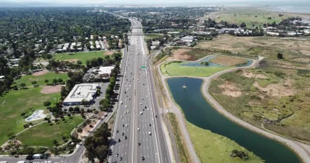 Vista Aérea Los Suburbios Árboles Densos Azotea Casas Pinos Coches — Vídeo de stock