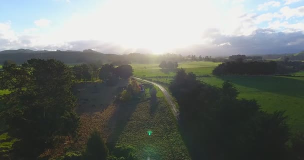 Sol Brillando Sobre Exuberante Paisaje Verde Tierras Cultivo — Vídeos de Stock