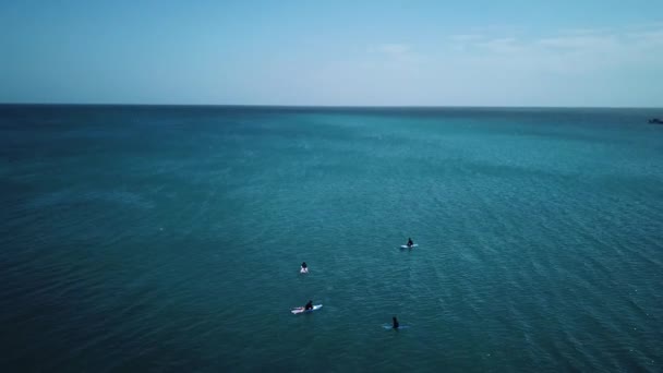 Filmový Drone Shot Odlétající Rýsující Nad Některými Surfaři Čekající Vlnu — Stock video