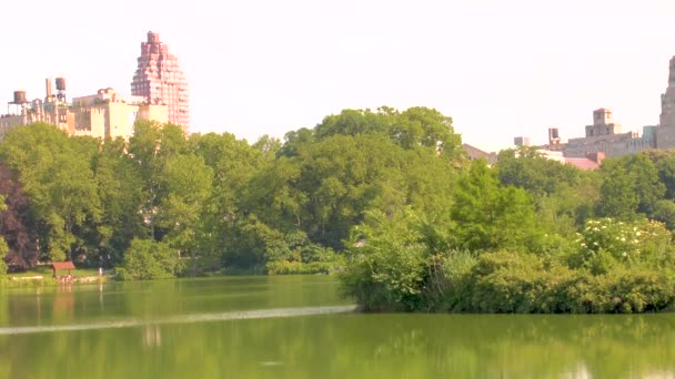 Central Park Manhattan Výhled New York Lake Městskou Krajinou — Stock video