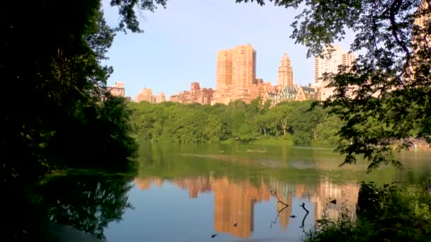 Central Park Manhattan New York Lake View Cityscape — Stock Video