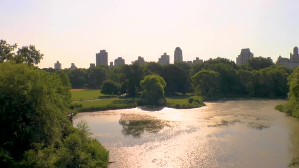 Pan Central Park Manhattan Nova York Vista Lago Com Paisagem — Vídeo de Stock