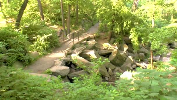 Most Central Parku Manhattan New York — Stock video