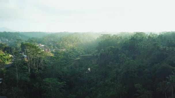 在一个阳光明媚的早晨 有人在铁加良米梯田上空高空鸣枪 — 图库视频影像