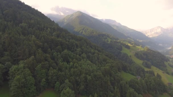 Imagens Aéreas Sobre Exuberante Vale Alpino Verde Pequenos Chalés Edifícios — Vídeo de Stock