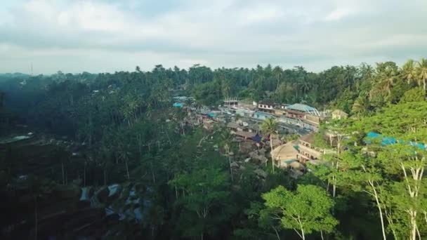 Drone Girato Volando Alto Sopra Terrazze Riso Tegallalang Ubod Bali — Video Stock