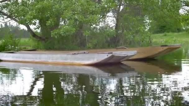 Barcos Madera Adicionales Llamados Drevak Lago Cerknica Bajo Árbol — Vídeo de stock