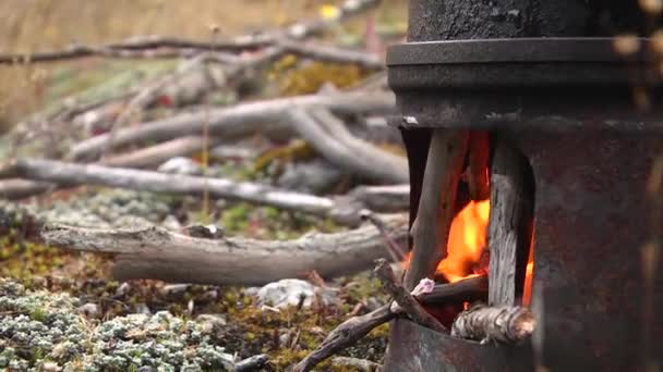 Campingkamin Lagerkocher Zum Kochen Und Brennholz Drumherum Nahaufnahmen — Stockvideo