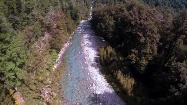 Drohnenfilme Über Dem Gebirgsfluss Einem Strahlenden Sommertag — Stockvideo