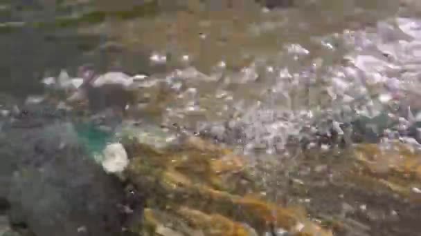 一名身穿防水西装和靴子跑进河里的男子在水下拍摄 一条跑腿和脚踏在水里 — 图库视频影像