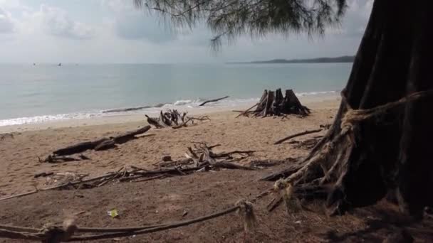 Landschap Uitzicht Het Vuile Strand Kantelen Tot Aan Hemel Met — Stockvideo