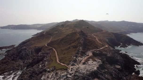 Kuzey Devon Morte Point Burnu Ndan Kuşların Uçuştuğu Kamera Ile — Stok video