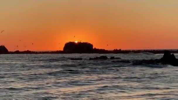 平静而平静的落日 鸟儿在美丽的海洋 岩石和波浪构成的风景上飞翔 — 图库视频影像