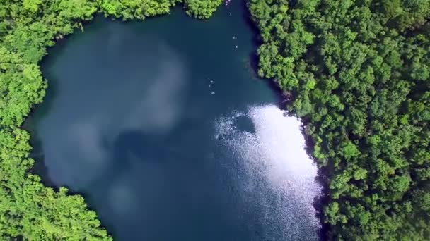 Aerial View Jellyfish Lake People Swimming Palau Micronesia Zooming — Stock Video