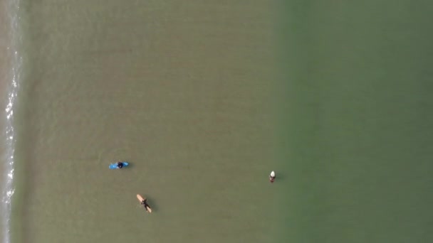 Pohybující Letecké Záběry Oceánu Vlny Lámání Více Surfaři Pádlování — Stock video