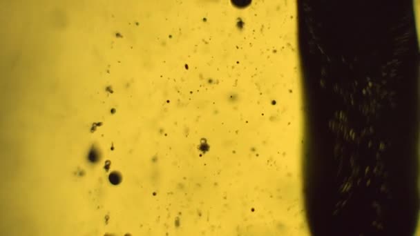 Barro Oscuro Burbujeando Una Manera Espeluznante Amarillo Experimento Ciencia Líquida — Vídeos de Stock