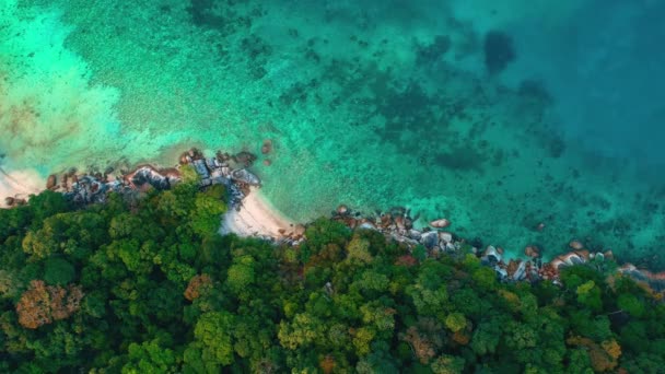 上から見た東南アジア マレーシア の美しい離島の海岸線 澄んだ青い水が優しく動いています — ストック動画
