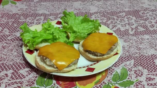 Mettre Ketchup Sur Deux Hamburgers Dans Une Assiette Sur Une — Video