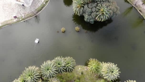 Widok Lotu Ptaka Jezioro Parku Palmami Montevideo Urugwaj — Wideo stockowe
