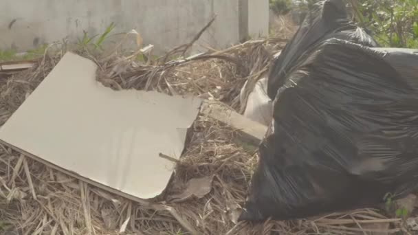 Prullenbak Droge Muur Het Veld Gegooid — Stockvideo