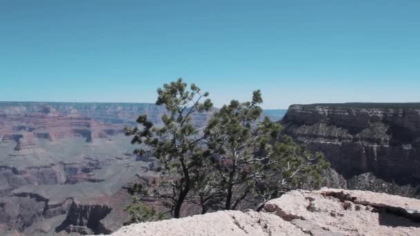 Widok Wielki Kanion — Wideo stockowe